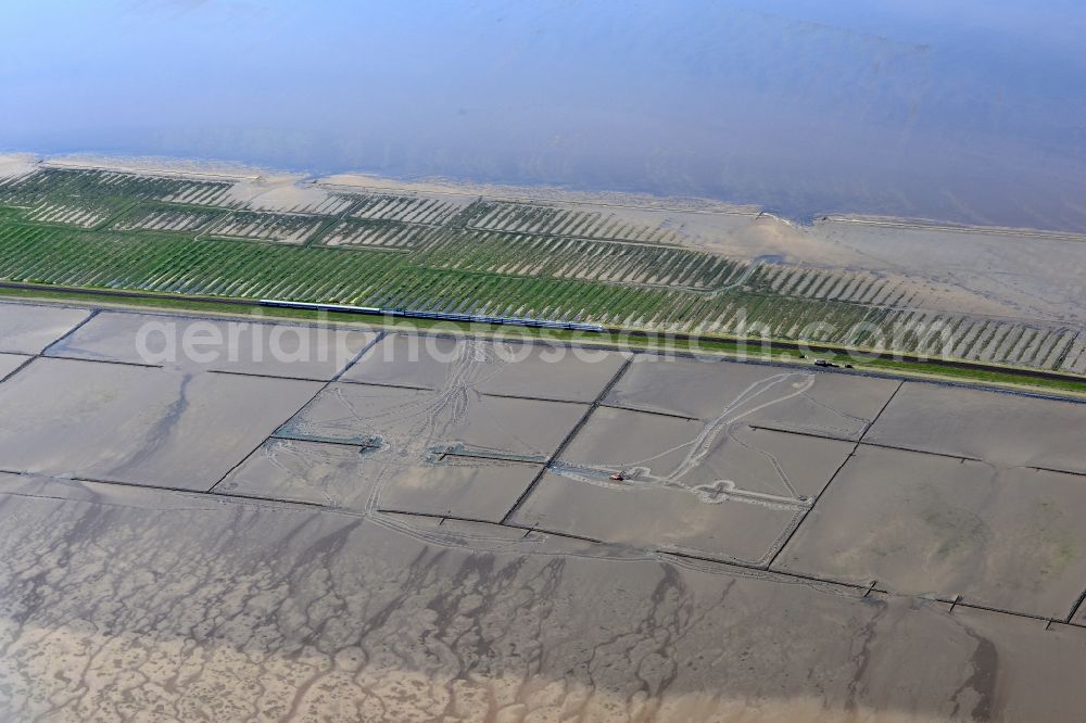 Aerial photograph Sylt-Ost - Wadden Sea of North Sea Coast on Hindenburgdamm in Sylt-Ost in the state Schleswig-Holstein