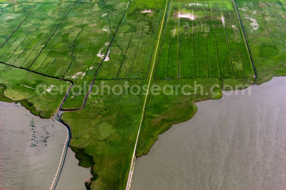 Nordenham from the bird's eye view: Wadden Sea of North Sea Coast in Nordenham in the state Lower Saxony, Germany