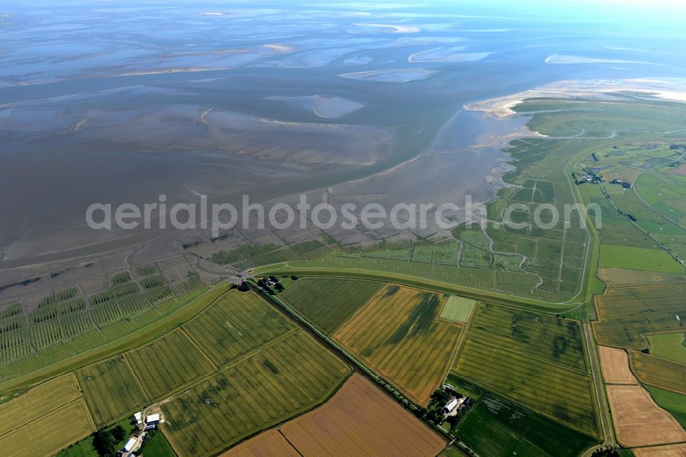 Sankt Peter-Ording from the bird's eye view: Wadden Sea of North Sea Coast in Sankt Peter-Ording in the state Schleswig-Holstein