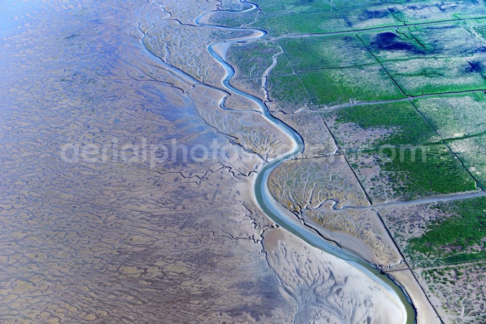 Aerial photograph Sankt Peter-Ording - Wadden Sea of North Sea Coast in Sankt Peter-Ording in the state Schleswig-Holstein