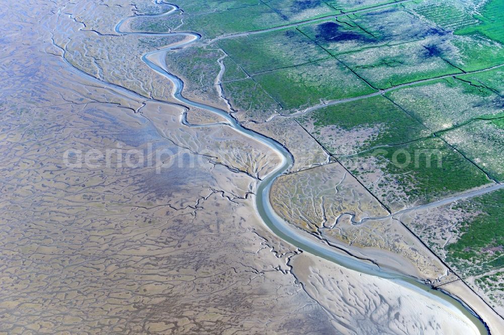 Sankt Peter-Ording from the bird's eye view: Wadden Sea of North Sea Coast in Sankt Peter-Ording in the state Schleswig-Holstein