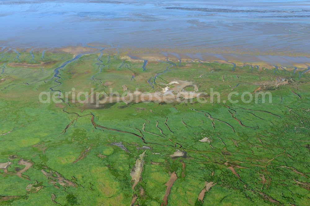 Aerial image Spiekeroog - Wadden Sea of North Sea Coast in Spiekeroog in the state Lower Saxony