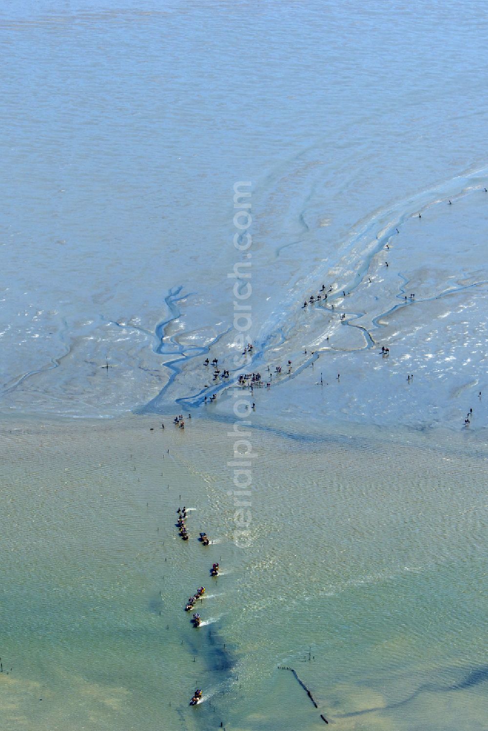 Cuxhaven from above - Wadden Sea of North Sea Coast with mudflat migration at the creek formation in Sahlenburg in the state Lower Saxony, Germany