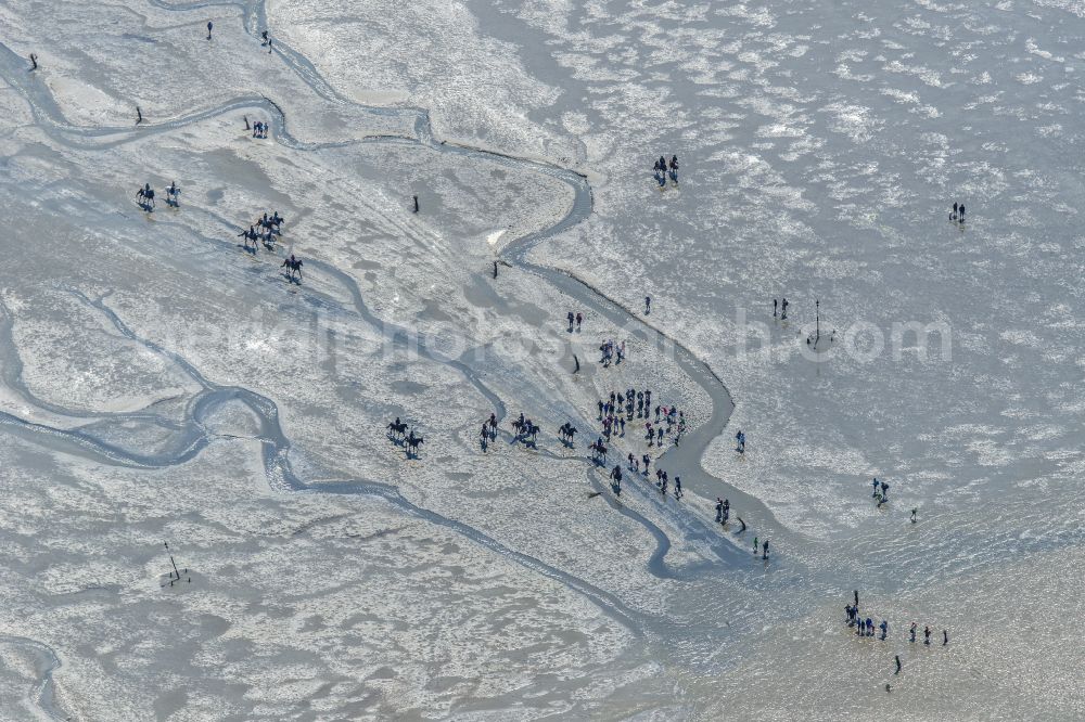 Aerial photograph Cuxhaven - Wadden Sea of North Sea Coast with mudflat migration at the creek formation in Sahlenburg in the state Lower Saxony, Germany