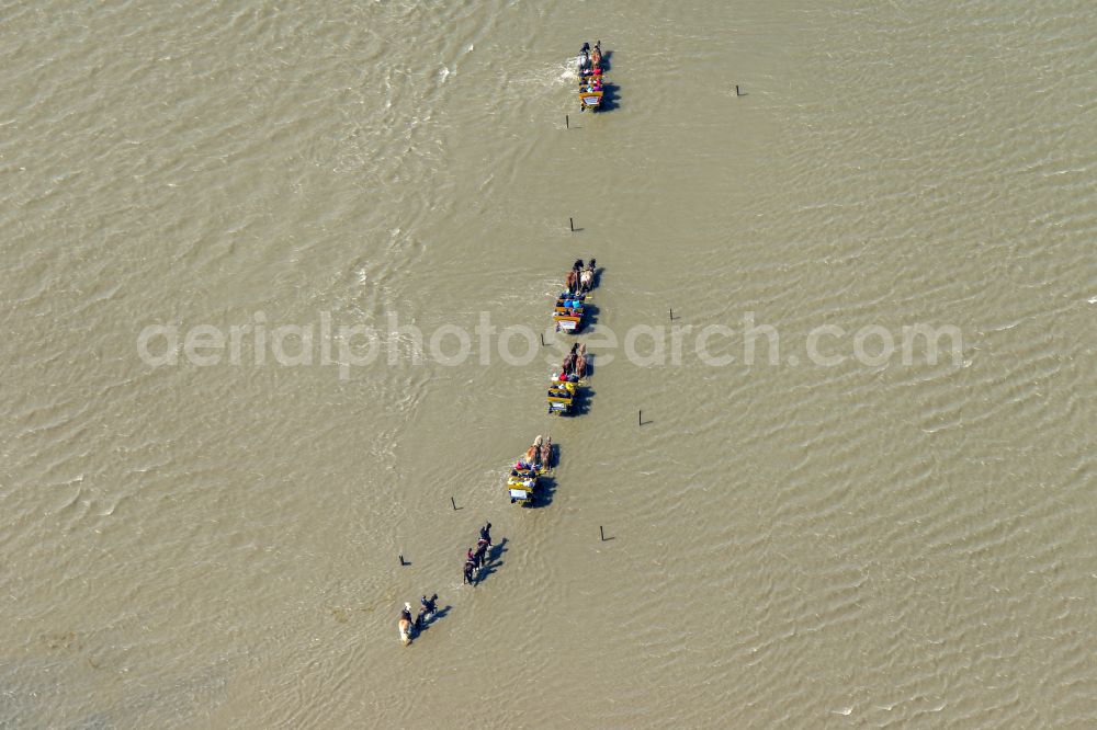 Cuxhaven from the bird's eye view: Wadden Sea of North Sea Coast with mudflat migration at the creek formation in Sahlenburg in the state Lower Saxony, Germany