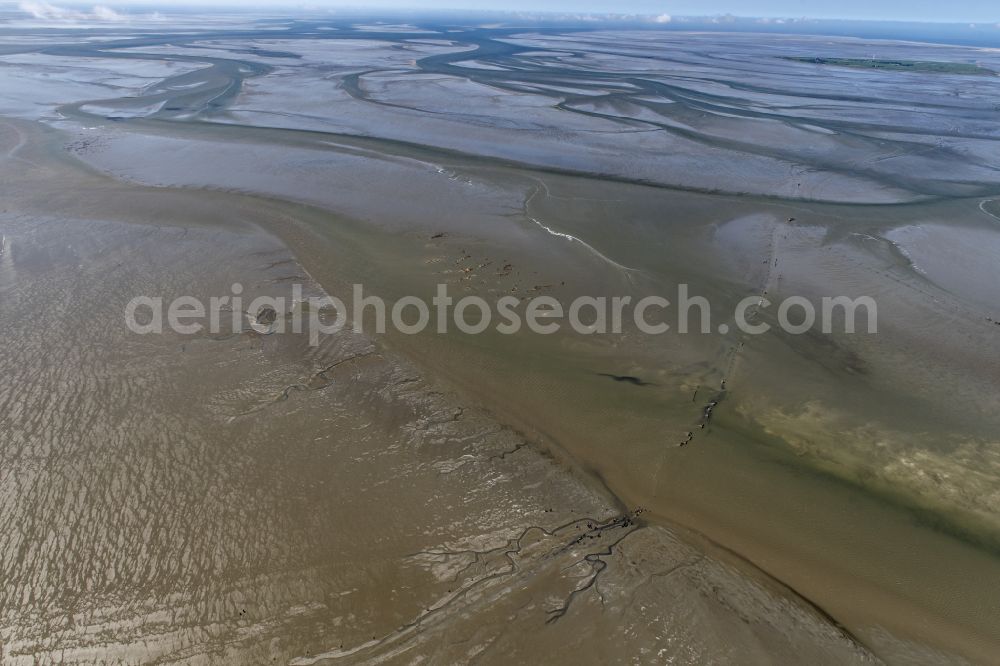 Cuxhaven from above - Wadden Sea of North Sea Coast with mudflat migration at the creek formation in Sahlenburg in the state Lower Saxony, Germany