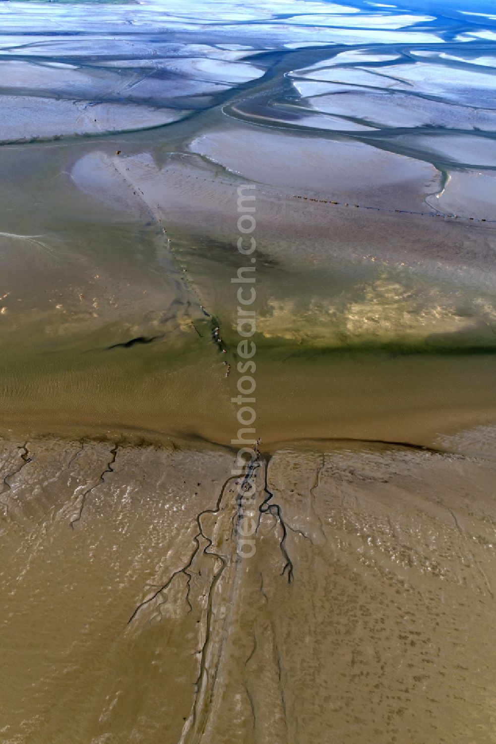 Cuxhaven from the bird's eye view: Wadden Sea of North Sea Coast with mudflat migration at the creek formation in Sahlenburg in the state Lower Saxony, Germany