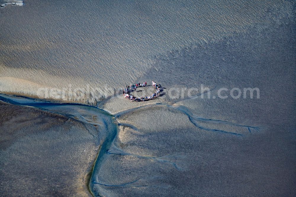 Aerial photograph Norderney - A group hiking on the Wadden Sea in front of Norderney in the state of Lower Saxony, Germany