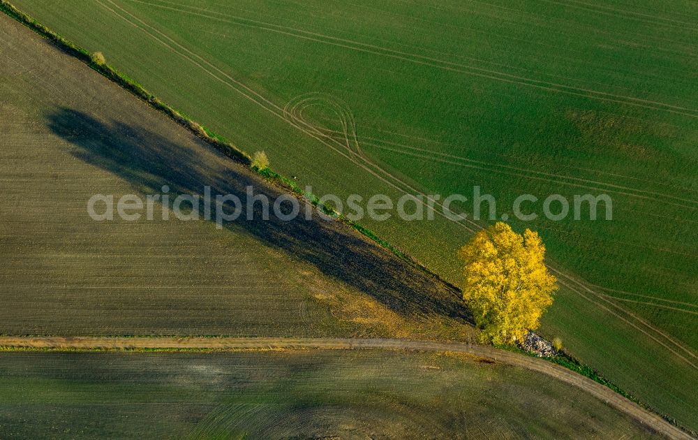 Rosenow from the bird's eye view: View of a fork near Rosenow in the state Mecklenburg-West Pomerania