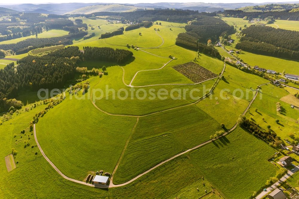 Aerial photograph Bad Berleburg OT Wunderthausen - View of grasslands near the district of Wunderthausen in Bad Berleburg in the state of North Rhine-Westphalia