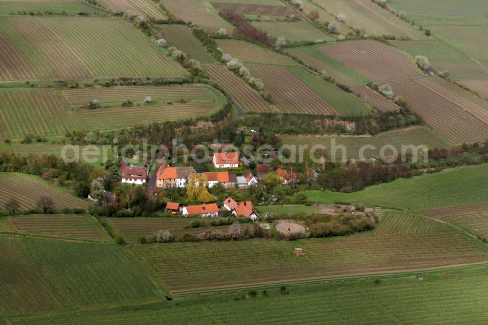 Aerial photograph Alsheim - Hamlet Hangen-Wahlheim on Wahlheimer moat in Alsheim in the state of Rhineland-Palatinate. The small hamlet consisting of several buildings, outbuildings and estates is located around the moat - a small creek - surrounded by fields and trees