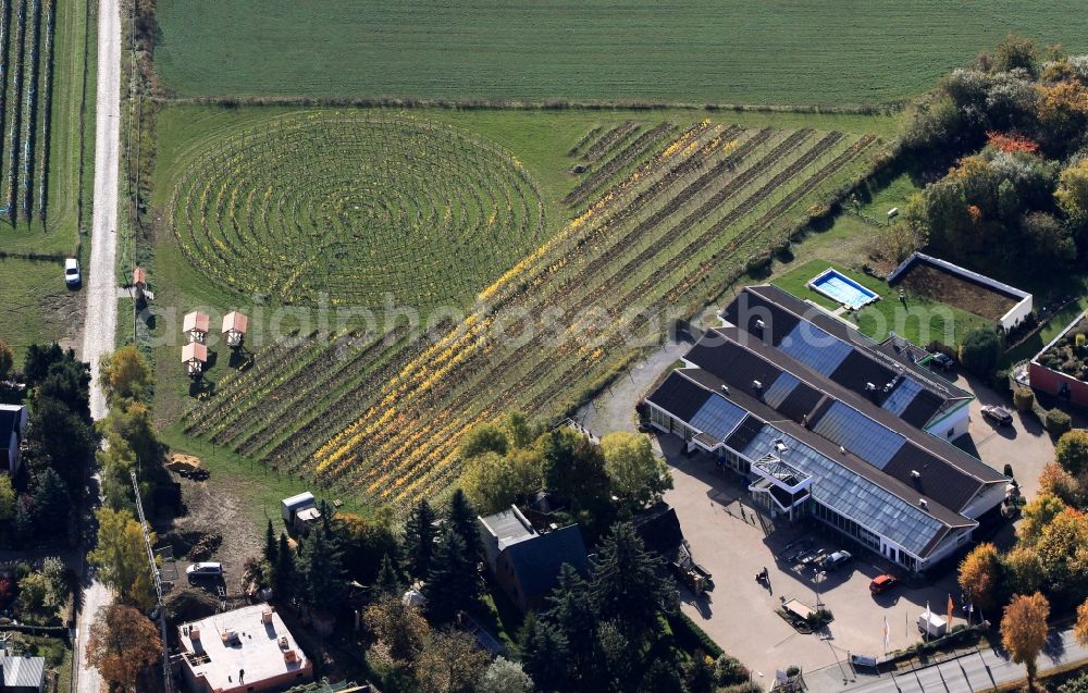 Aerial image Weimar - Wine labyrinth on Dorotheenhof near Weimar in Thuringia