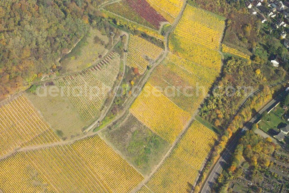 Aerial image Bad Breisig - ; Blick auf den Weinanbau von Bad Breisig.