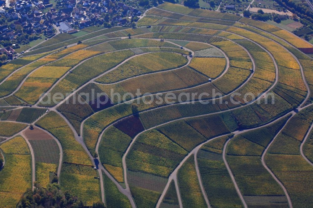 Ebringen from the bird's eye view: Autumn in the vineyard Sonnenberg with structures of the roads to grow the vine of Baden the in Ebringen in the state Baden-Wuerttemberg, Germany