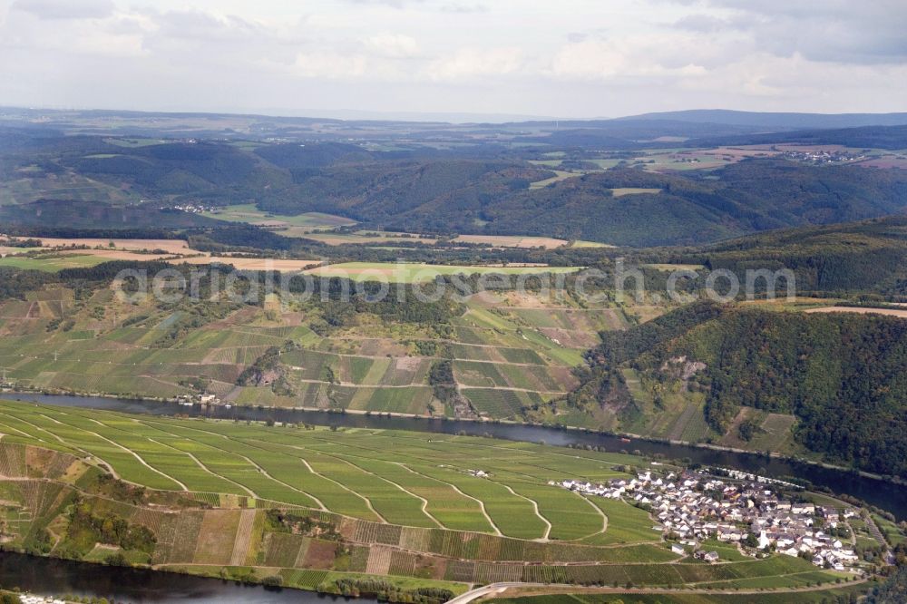 Aerial image Minheim - Wine-growing region on the ahore of the Mosel in Minheim in the state of Rhineland-Palatinate. In view of the mountain landscape