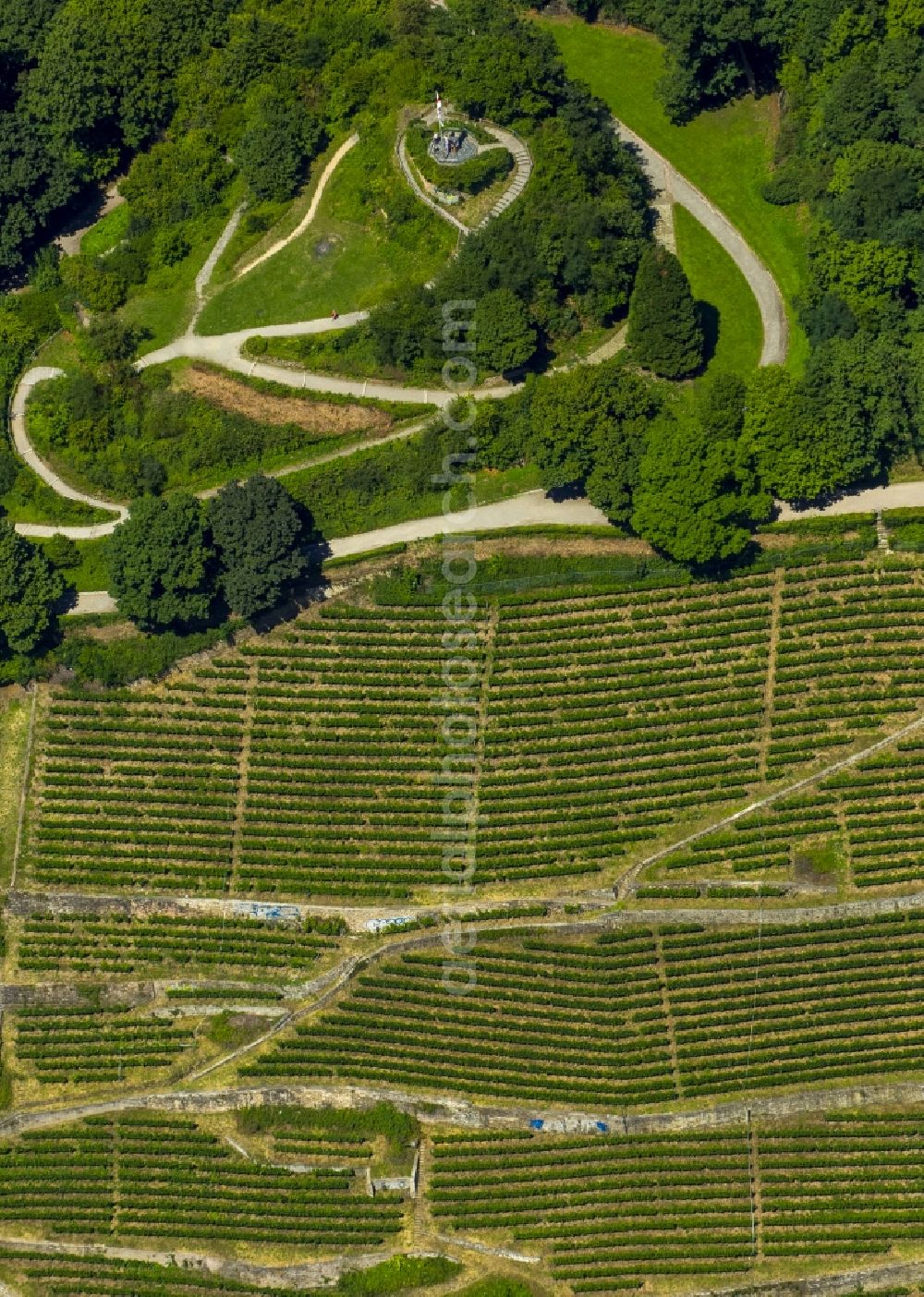 Aerial image Freiburg im Breisgau - Wine at the Freiburg Schlossberg in Oberau in Freiburg in Baden-Wuerttemberg