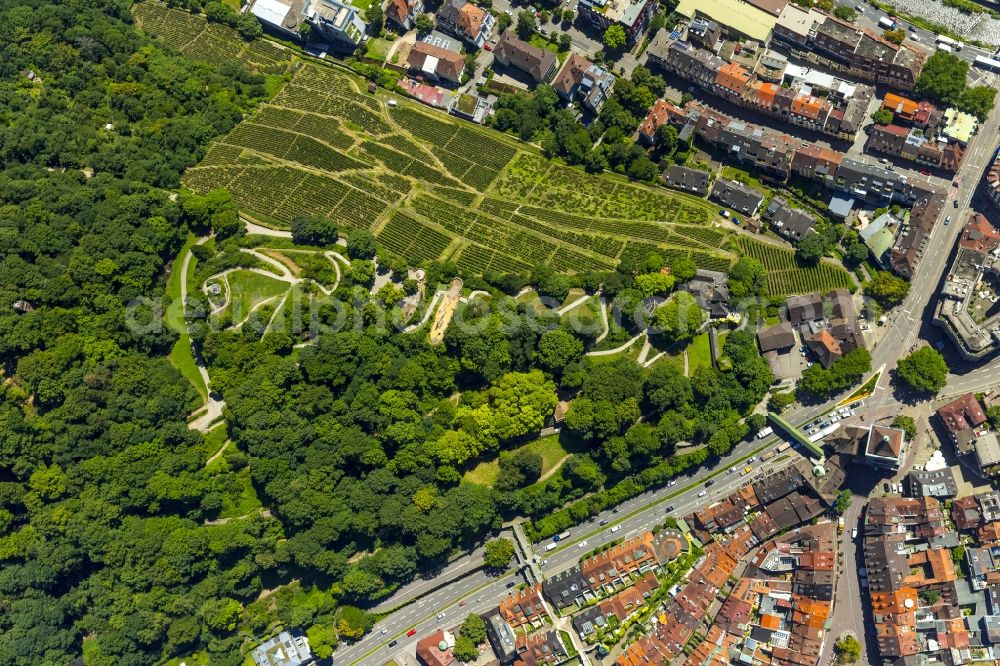 Aerial image Freiburg im Breisgau - Wine at the Freiburg Schlossberg in Oberau in Freiburg in Baden-Wuerttemberg