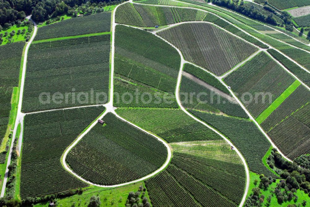 Oberhöfen from above - Blick auf Weinbau im Hohenlohekreis westlich von Oberhöfen. In der Region gibt es viel Landwirtschaft. Diese betreiben vorwiegend mittlere Betriebe und nicht kleinere wie sonst für Baden-Württemberg typische. Das macht den Landkreis Hohenlohe zu einem der landwirtschaftlich bedeutendsten Baden-Württembergs. Kontakt: Landesratamt Hohenlohekreis, Allee 17 74653 Künzelsau, Tel. +49(0)7940 18 0, Fax +49(0) 7940 18 336, Email: info@hohenlohekreis.de; Touristikgemeinschaft Hohenlohe e.V., Allee 17 74653 Künzelsau, Tel. +49(0)7940 18 206, Fax +49(0)7940 18 363, Email: info@hohenlohe.de