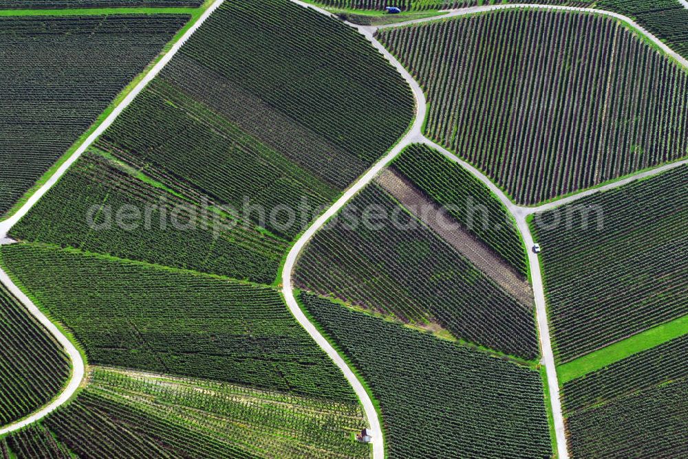 Oberhöfen from the bird's eye view: Blick auf Weinbau im Hohenlohekreis westlich von Oberhöfen. In der Region gibt es viel Landwirtschaft. Diese betreiben vorwiegend mittlere Betriebe und nicht kleinere wie sonst für Baden-Württemberg typische. Das macht den Landkreis Hohenlohe zu einem der landwirtschaftlich bedeutendsten Baden-Württembergs. Kontakt: Landesratamt Hohenlohekreis, Allee 17 74653 Künzelsau, Tel. +49(0)7940 18 0, Fax +49(0) 7940 18 336, Email: info@hohenlohekreis.de; Touristikgemeinschaft Hohenlohe e.V., Allee 17 74653 Künzelsau, Tel. +49(0)7940 18 206, Fax +49(0)7940 18 363, Email: info@hohenlohe.de