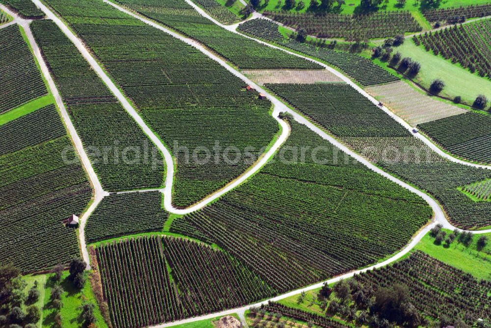 Aerial image Oberhöfen - Blick auf Weinbau im Hohenlohekreis westlich von Oberhöfen. In der Region gibt es viel Landwirtschaft. Diese betreiben vorwiegend mittlere Betriebe und nicht kleinere wie sonst für Baden-Württemberg typische. Das macht den Landkreis Hohenlohe zu einem der landwirtschaftlich bedeutendsten Baden-Württembergs. Kontakt: Landesratamt Hohenlohekreis, Allee 17 74653 Künzelsau, Tel. +49(0)7940 18 0, Fax +49(0) 7940 18 336, Email: info@hohenlohekreis.de; Touristikgemeinschaft Hohenlohe e.V., Allee 17 74653 Künzelsau, Tel. +49(0)7940 18 206, Fax +49(0)7940 18 363, Email: info@hohenlohe.de