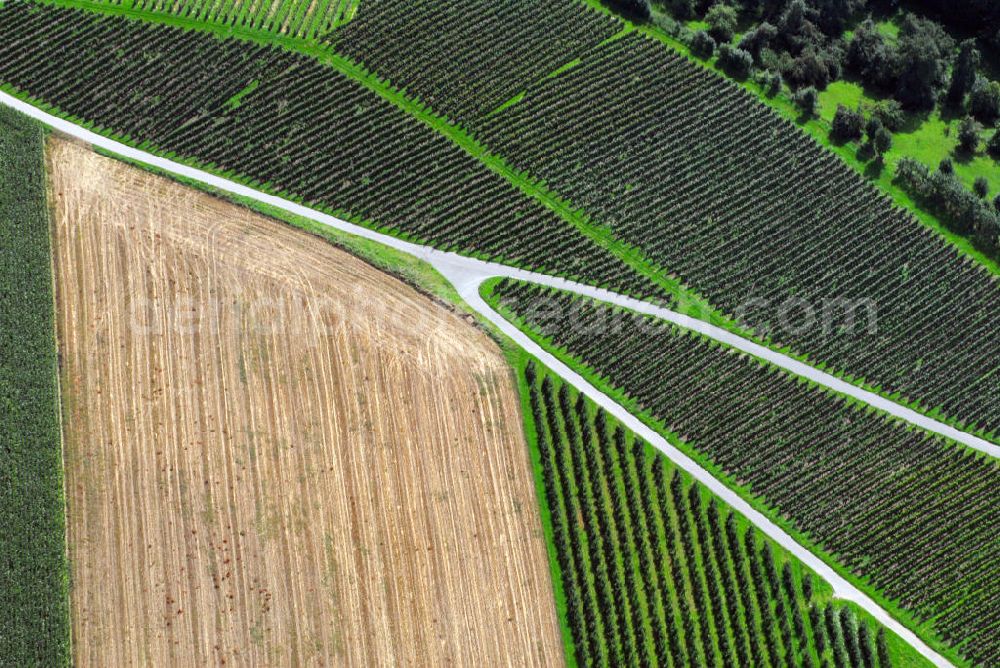 Aerial photograph Oberhöfen - Blick auf Weinbau im Hohenlohekreis westlich von Oberhöfen. In der Region gibt es viel Landwirtschaft. Diese betreiben vorwiegend mittlere Betriebe und nicht kleinere wie sonst für Baden-Württemberg typische. Das macht den Landkreis Hohenlohe zu einem der landwirtschaftlich bedeutendsten Baden-Württembergs. Kontakt: Landesratamt Hohenlohekreis, Allee 17 74653 Künzelsau, Tel. +49(0)7940 18 0, Fax +49(0) 7940 18 336, Email: info@hohenlohekreis.de; Touristikgemeinschaft Hohenlohe e.V., Allee 17 74653 Künzelsau, Tel. +49(0)7940 18 206, Fax +49(0)7940 18 363, Email: info@hohenlohe.de