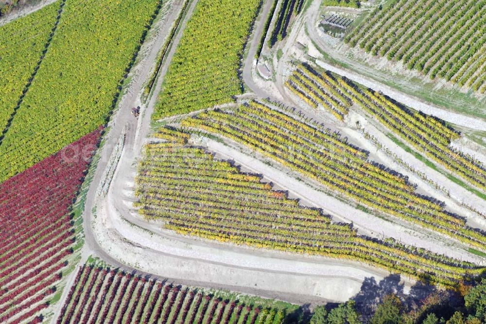 Aerial image Zaschendorf - Blick auf das Weinbaugebiet am Kapitelholzsteig Großlage Tauberberg - Teil des Sächsischen Weinwan derweges von Oberau über Niederau, Zaschendorf, Spaargebirge nach Meißen.