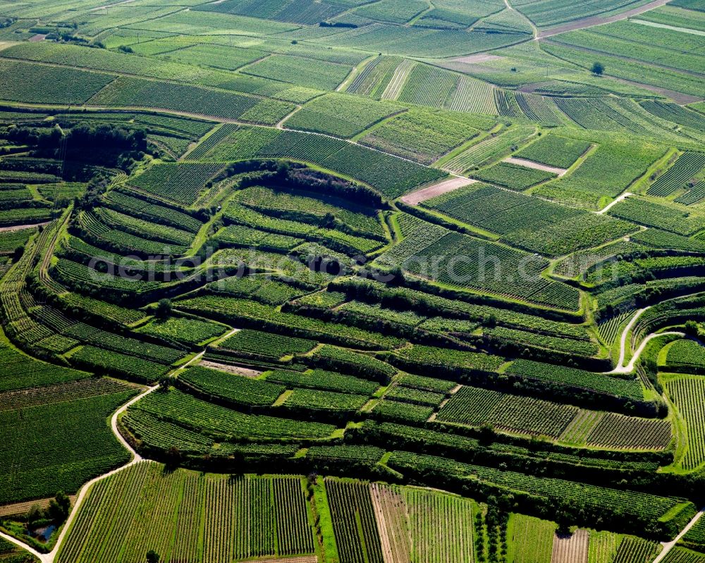 Aerial image Sasbach am Kaiserstuhl - View of vineyards in Sasbach am Kaiserstuhl in Baden-Württemberg