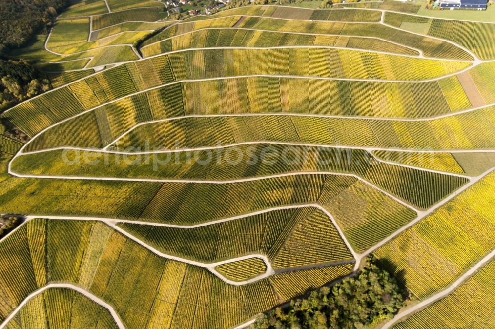 Aerial image Luxemburg - View at vineyards at the Mosel between Schwebsange and Wintrange in Luxemburg