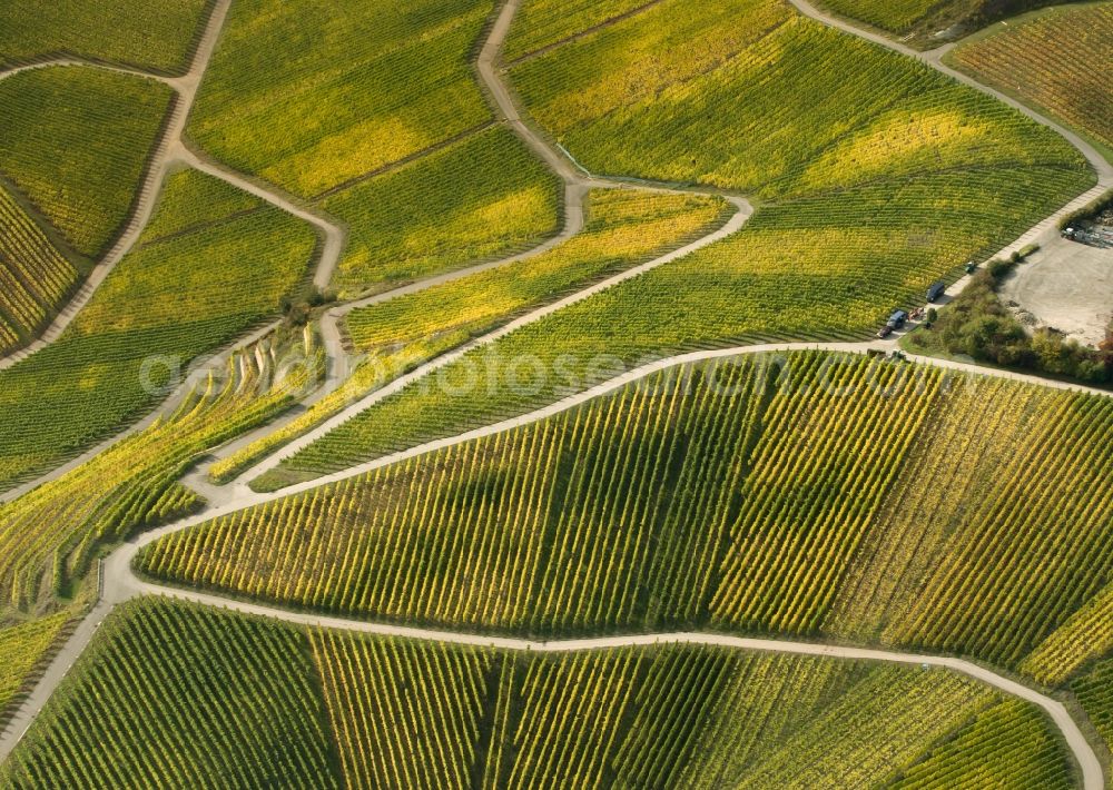 Aerial photograph Luxemburg - View at vineyards at the Mosel between Schwebsange and Wintrange in Luxemburg