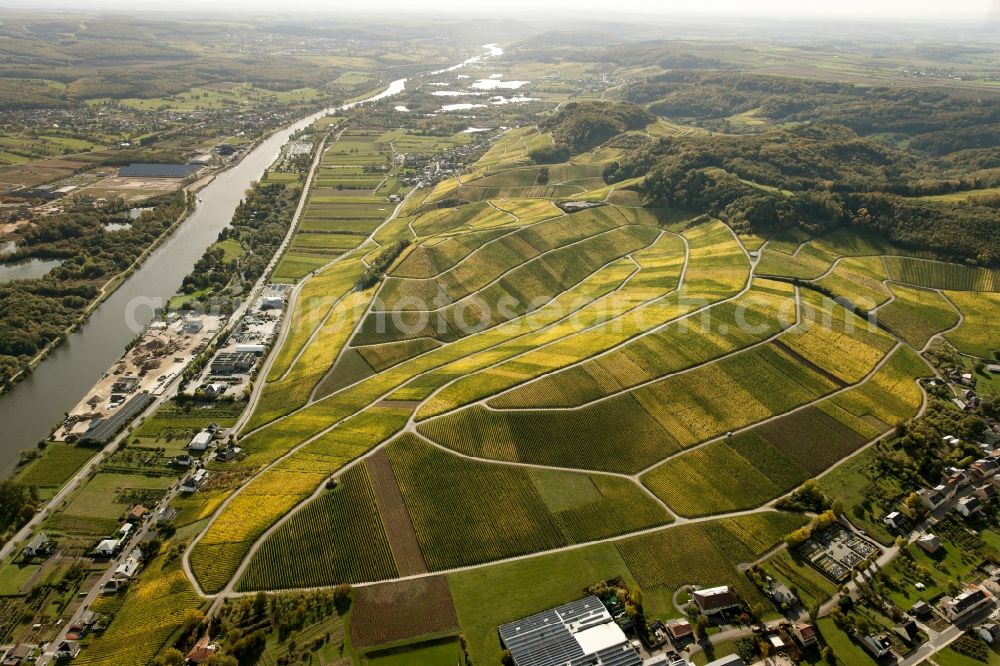 Luxemburg from the bird's eye view: View at vineyards at the Mosel between Schwebsange and Wintrange in Luxemburg