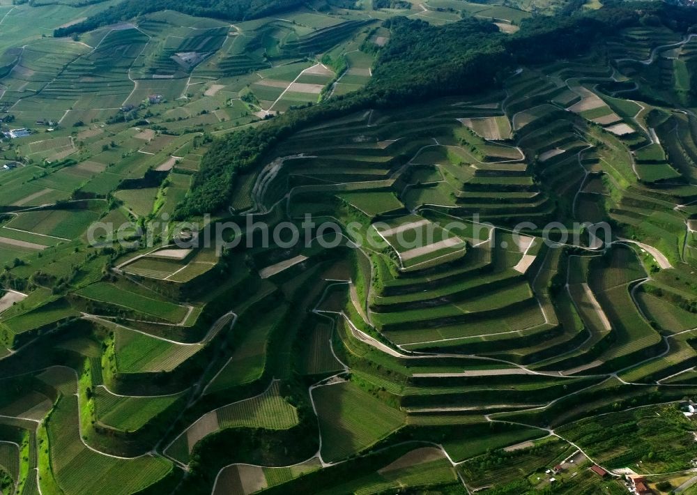 Aerial photograph Vogtsburg im Kaiserstuhl - Fields of wine cultivation landscape with the viewpoint Mondhalde near Vogtsburg im Kaiserstuhl in the state Baden-Wuerttemberg