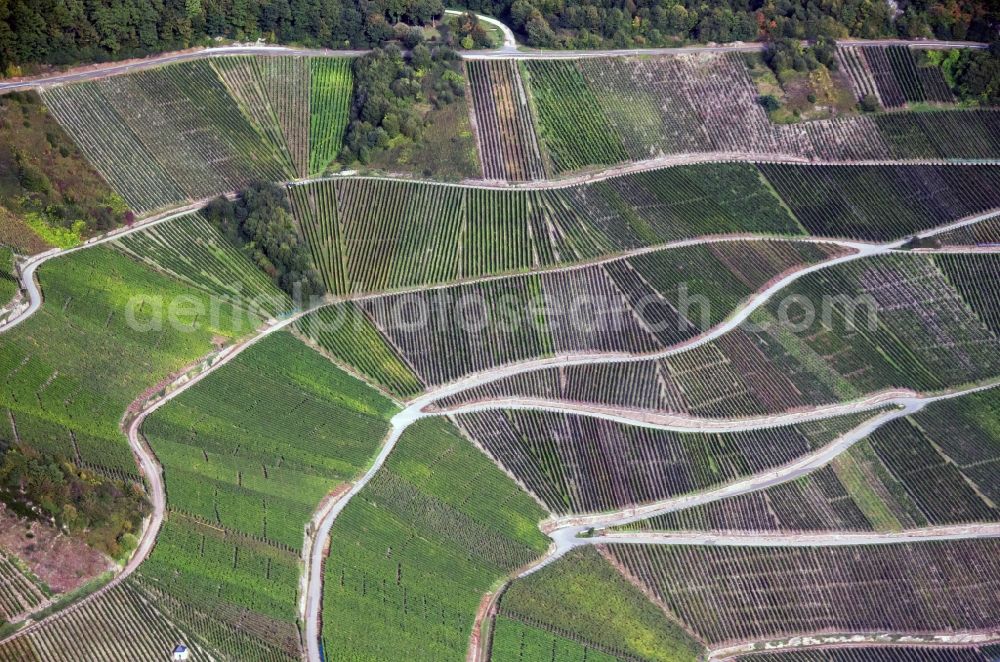 Aerial image Neumagen-Dhron - Vineyards of a winery operation at Neumagen - Dhron in Rhineland-Palatinate