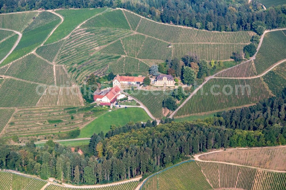 Durbach from the bird's eye view: Winery and guest house Winzerhof on the edge of vineyards and in Durbach in the state Baden-Wuerttemberg, Germany