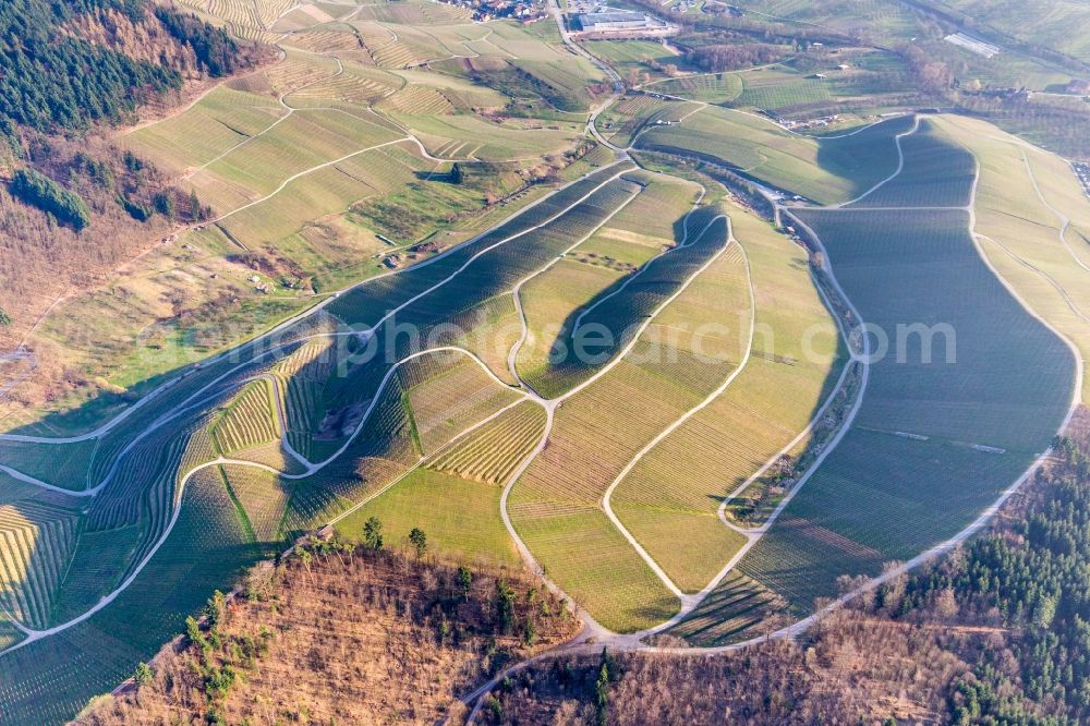 Kappelrodeck from the bird's eye view: Fields of wine cultivation landscape in Kappelrodeck in the state Baden-Wuerttemberg, Germany