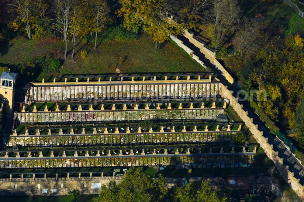 Aerial image Potsdam - Fields of wine cultivation landscape of Bauverein Winzerberg e.V. in Potsdam in the state Brandenburg, Germany