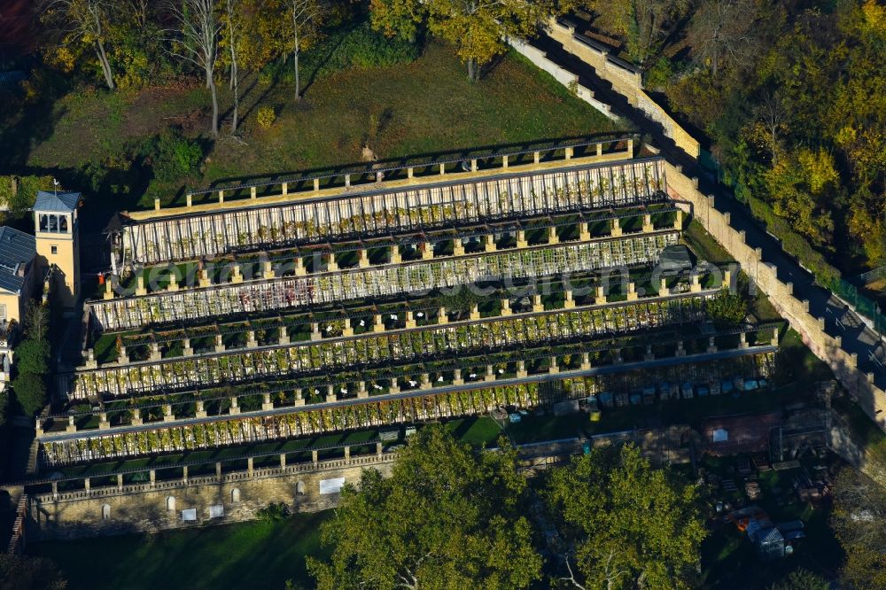 Aerial photograph Potsdam - Fields of wine cultivation landscape of Bauverein Winzerberg e.V. in Potsdam in the state Brandenburg, Germany