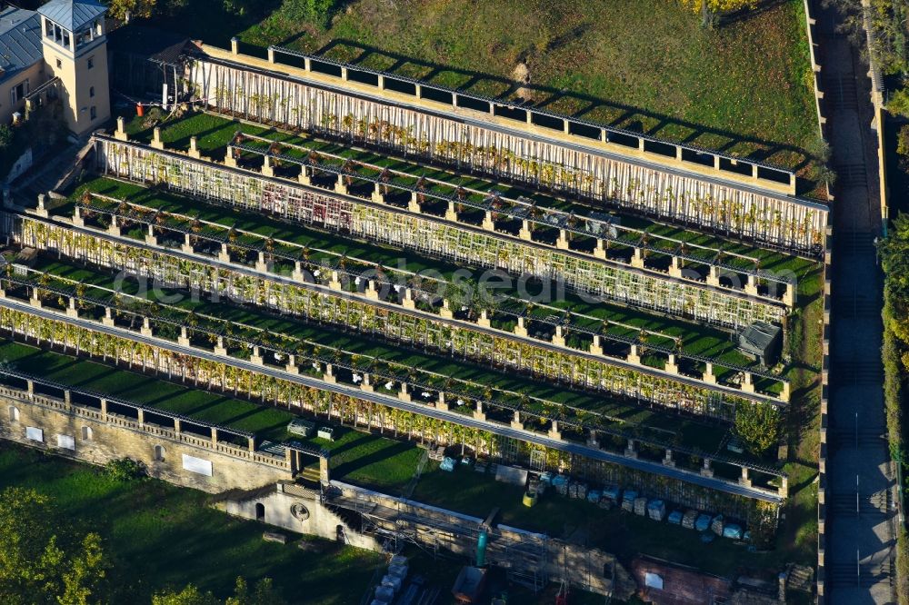 Aerial image Potsdam - Fields of wine cultivation landscape of Bauverein Winzerberg e.V. in Potsdam in the state Brandenburg, Germany