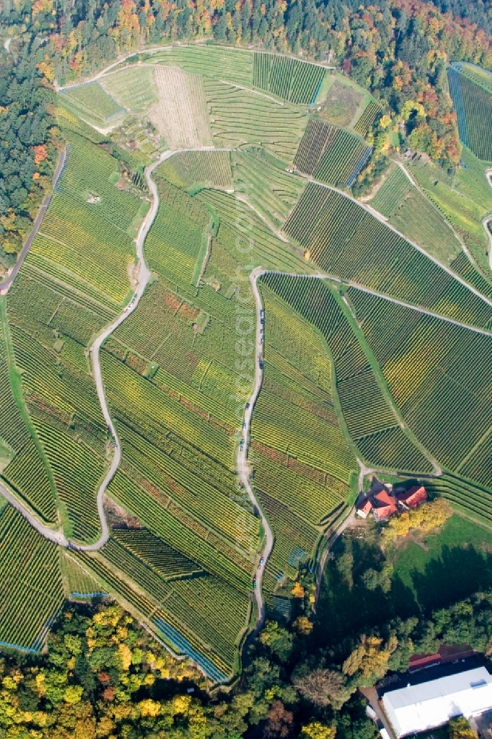 Achern from above - Fields of wine cultivation landscape at the edge of the black forest in Achern in the state Baden-Wuerttemberg