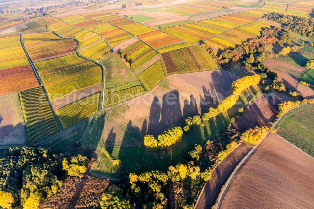 Heuchelheim-Klingen from above - Fields of wine cultivation landscape in Heuchelheim-Klingen in the state Rhineland-Palatinate, Germany