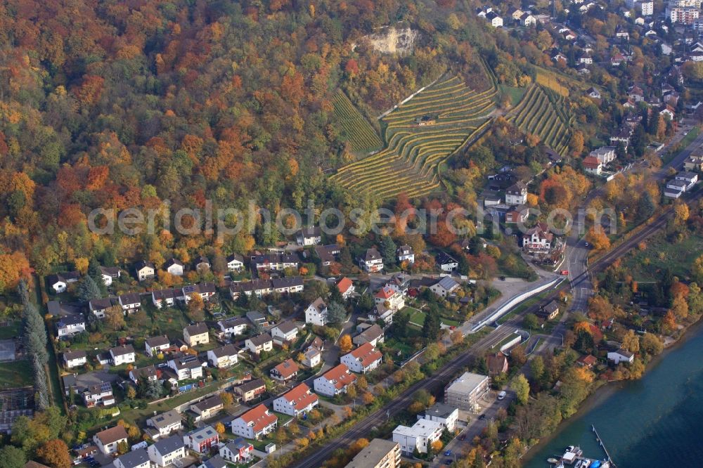 Grenzach-Wyhlen from the bird's eye view: Fields of wine cultivation landscape in Grenzach-Wyhlen in the state Baden-Wuerttemberg Fields of wine cultivation at the Hornfelsen in Grenzach-Wyhlen in Baden -Wuerttemberg. Directly at the river Rhine and on the border with Switzerland is this wine growing region