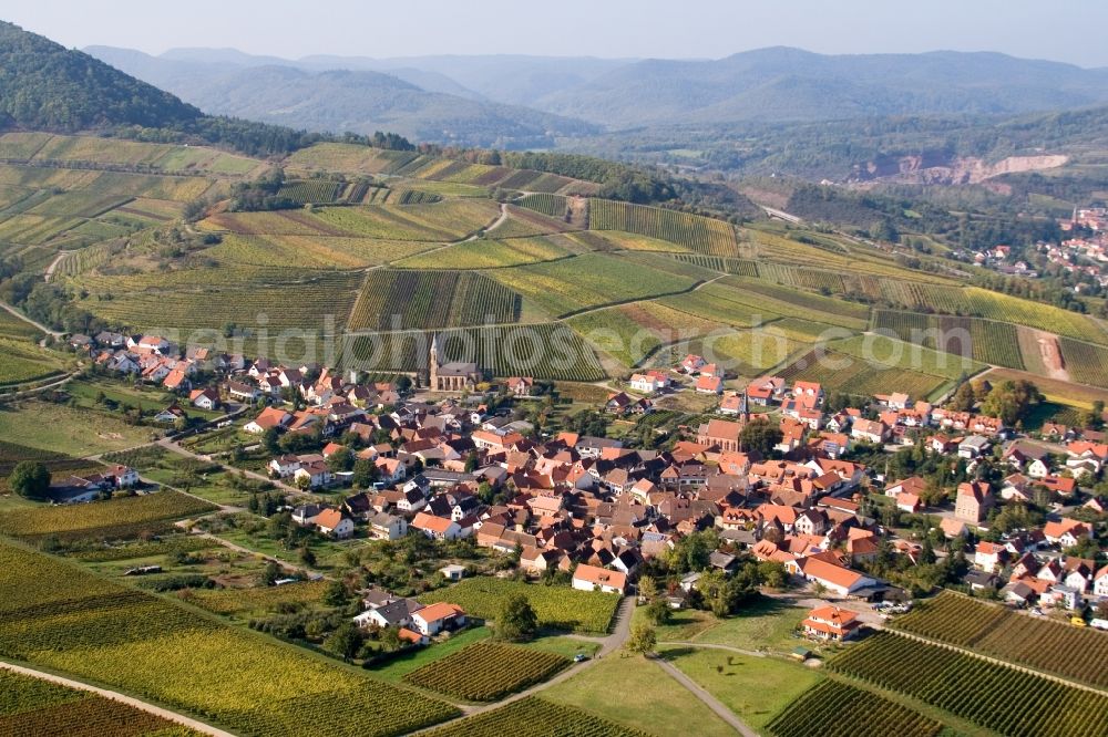 Birkweiler from the bird's eye view: Fields of wine cultivation landscape Kastanienbusch in Wine-village Birkweiler at the German Wine-Street in the state Rhineland-Palatinate