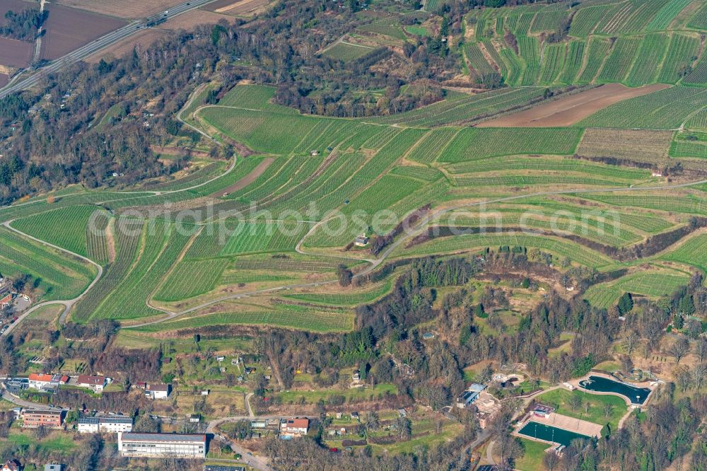 Aerial image Lahr/Schwarzwald - Fields of wine cultivation landscape in Lahr/Schwarzwald in the state Baden-Wurttemberg, Germany