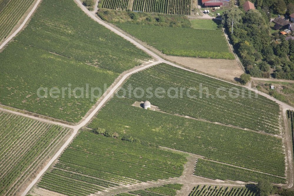 Aerial image Stadecken-Elsheim - Fields of wine cultivation landscape in Stadecken-Elsheim in the state Rhineland-Palatinate with a Trullo, an in Italian style built Vineyard cottage