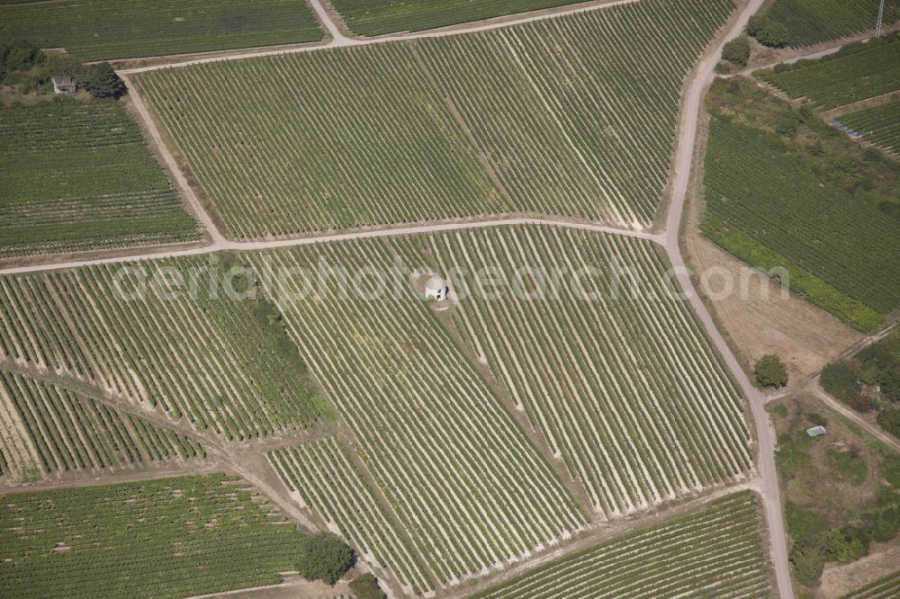 Aerial photograph Stadecken-Elsheim - Fields of wine cultivation landscape in Stadecken-Elsheim in the state Rhineland-Palatinate with a Trullo, an in Italian style built Vineyard cottage