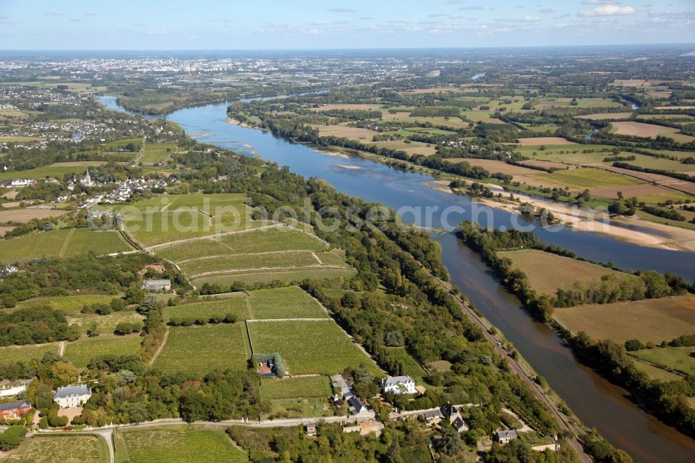 Aerial photograph Savennieres - Fields of wine cultivation landscape in Savennieres in Pays de la Loire, France