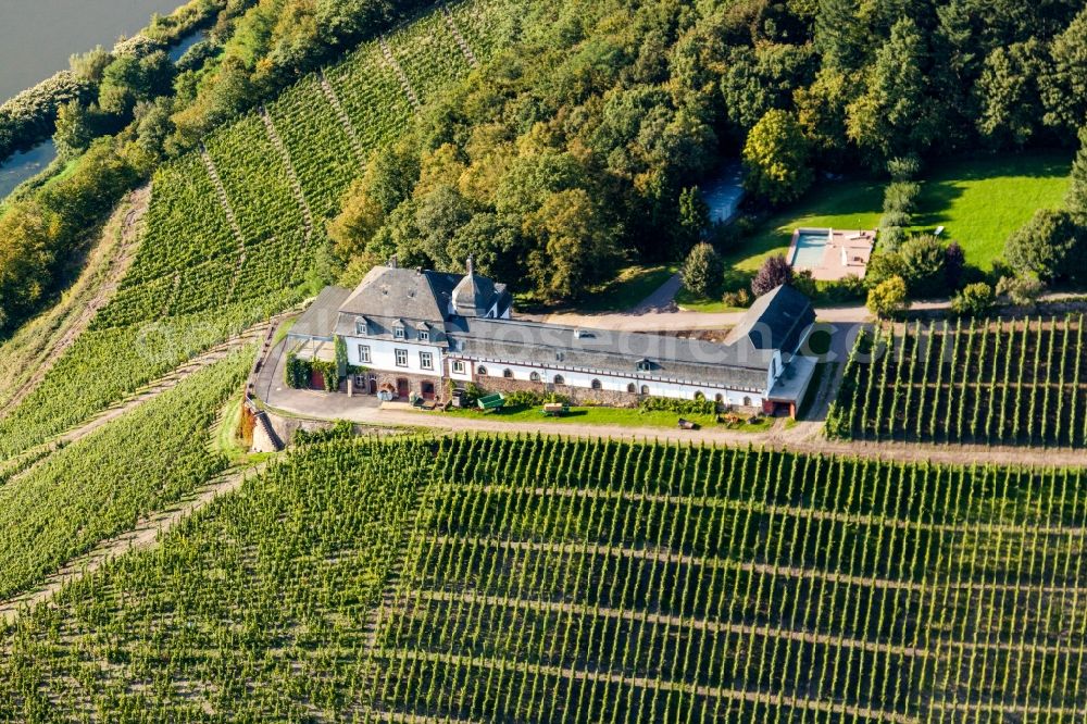 Serrig from the bird's eye view: Fields of wine cultivation landscape with Domaine Castle Saarstein above the river Saar in Serrig in the state , Germany