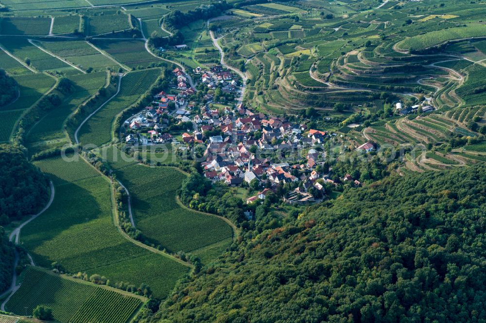 Aerial photograph Amoltern - fields of wine cultivation landscape in Amolte in the state Baden-Wuerttemberg, Germany