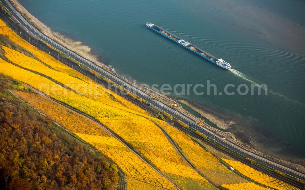 Aerial photograph Brey - Fields of wine cultivation landscape in Brey in the state Rhineland-Palatinate