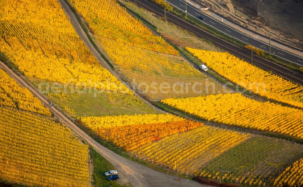 Brey from above - Fields of wine cultivation landscape in Brey in the state Rhineland-Palatinate