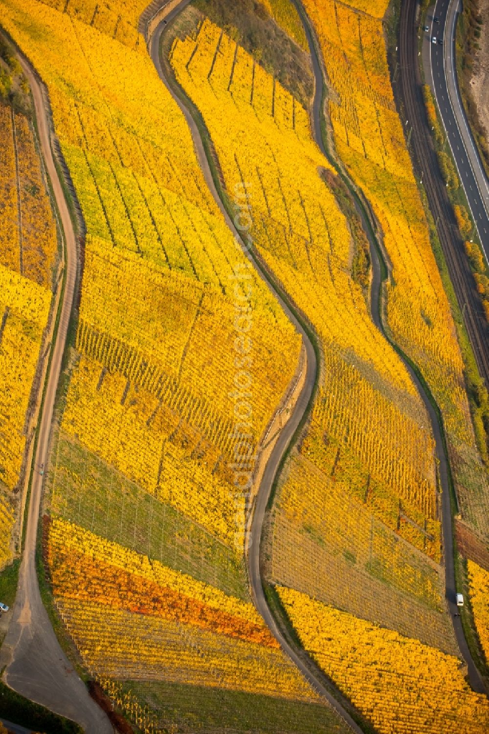 Brey from the bird's eye view: Fields of wine cultivation landscape in Brey in the state Rhineland-Palatinate